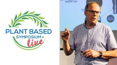 Cultured Meat as a step towards Plant-Based diets - Dr Mark Post