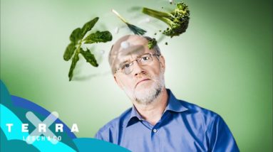 Ist vegane Ernährung Unsinn? | Harald Lesch