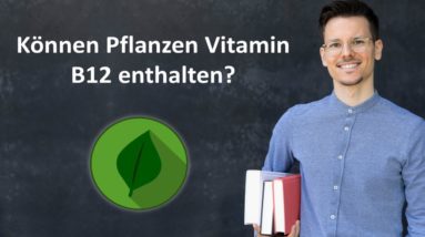 Können Pflanzen Vitamin B12 enthalten?
