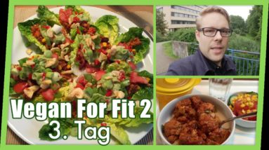 Vegan For Fit 2 - Tag 3: Matcha-Spinat-Mango Eis, Teriyaki Blumenkohl, Tofu-Chili-Tacos